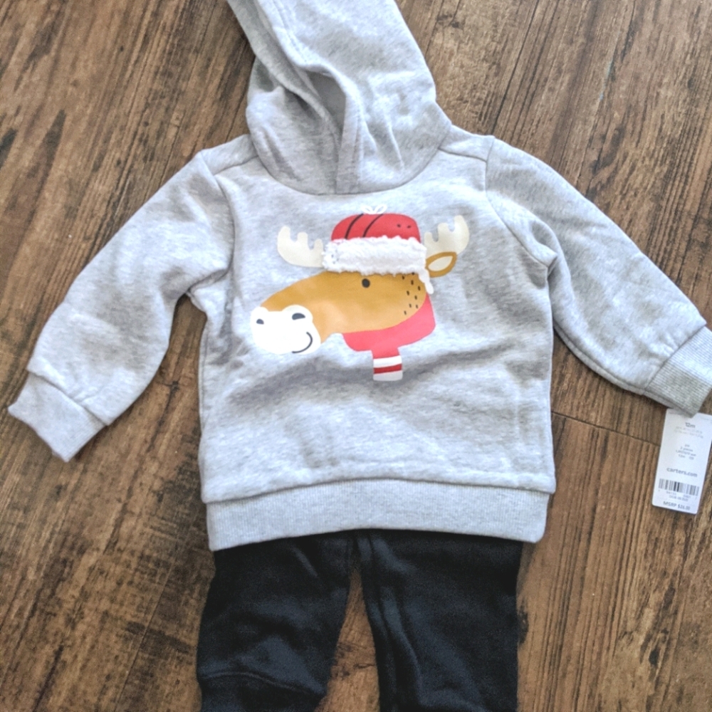 Carter's 2 piece hooded sweatshirt and sweatpants
